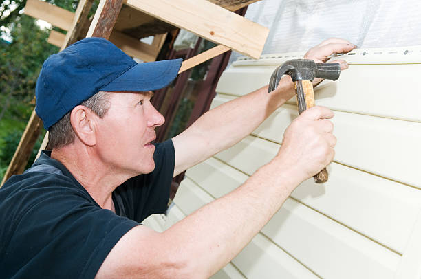 Best Shed Removal  in Ann Arbor, MI